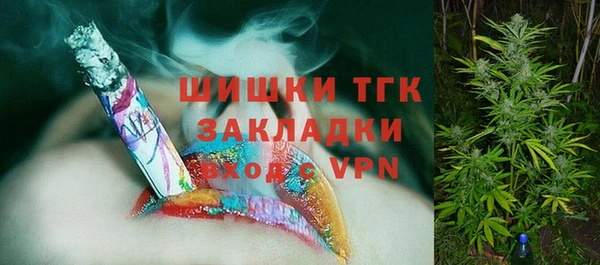твердый Железногорск-Илимский
