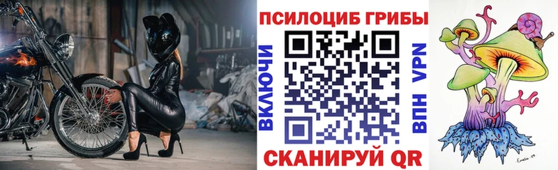 Галлюциногенные грибы мицелий Бор