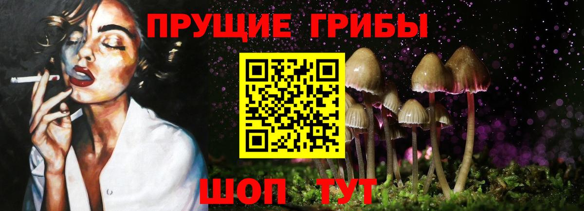 цены   Псилоцибиновые грибы Psilocybe  Вход с VPN  Бор  Псилоцибиновые грибы MAGIC MUSHROOMS 
